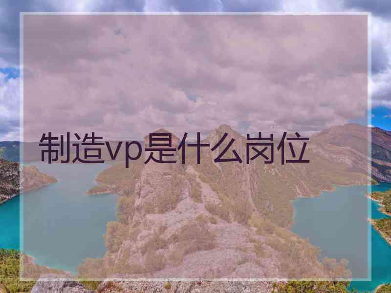 制造vp是什么岗位