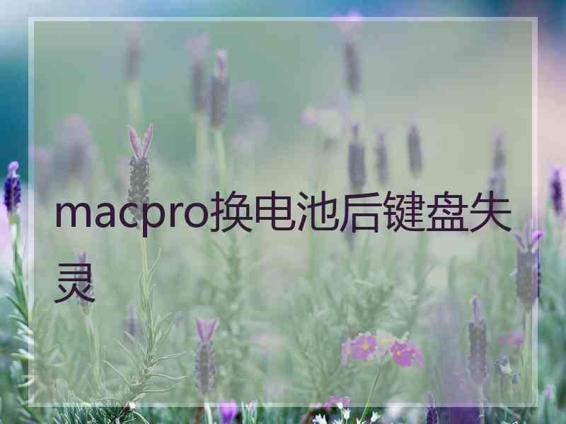 macpro换电池后键盘失灵