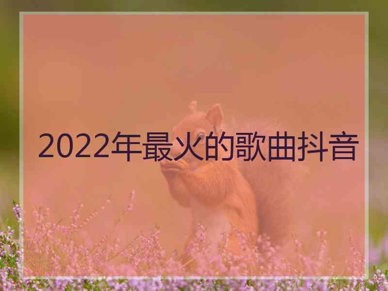 2022年最火的歌曲抖音