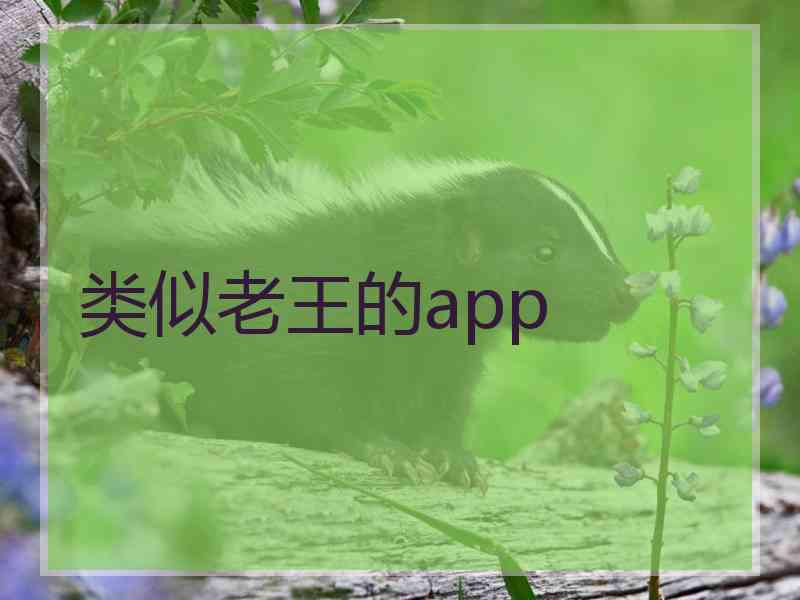 类似老王的app