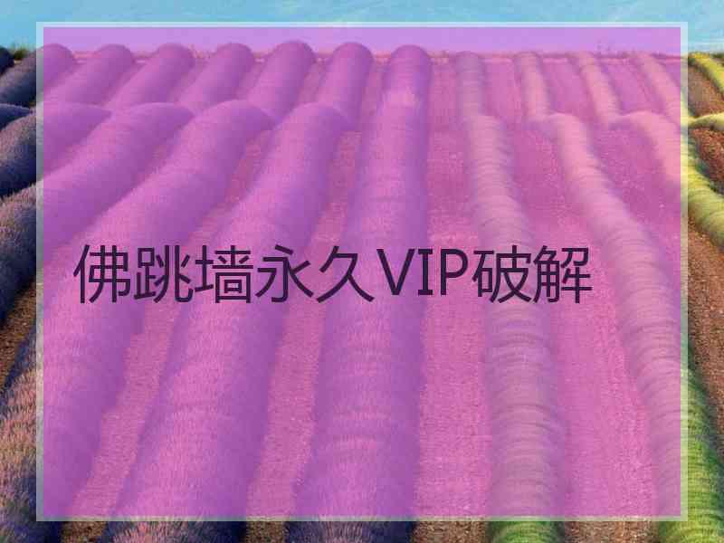 佛跳墙永久VIP破解