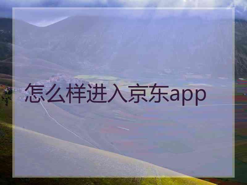 怎么样进入京东app