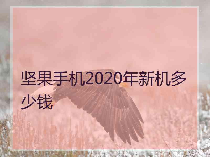 坚果手机2020年新机多少钱