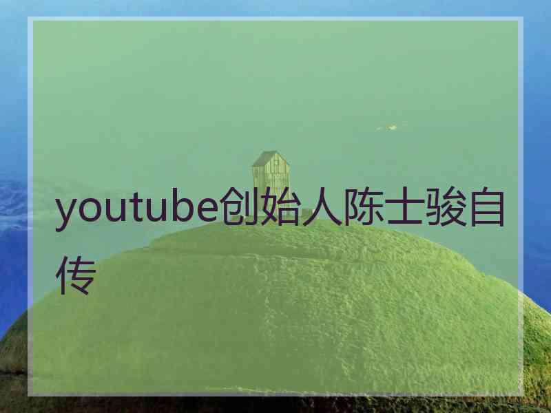 youtube创始人陈士骏自传