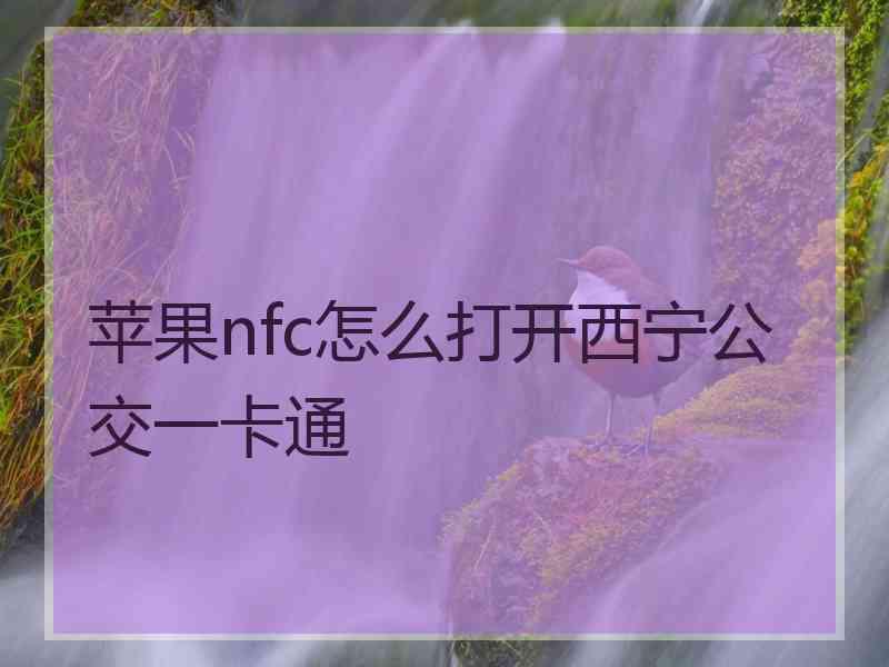 苹果nfc怎么打开西宁公交一卡通