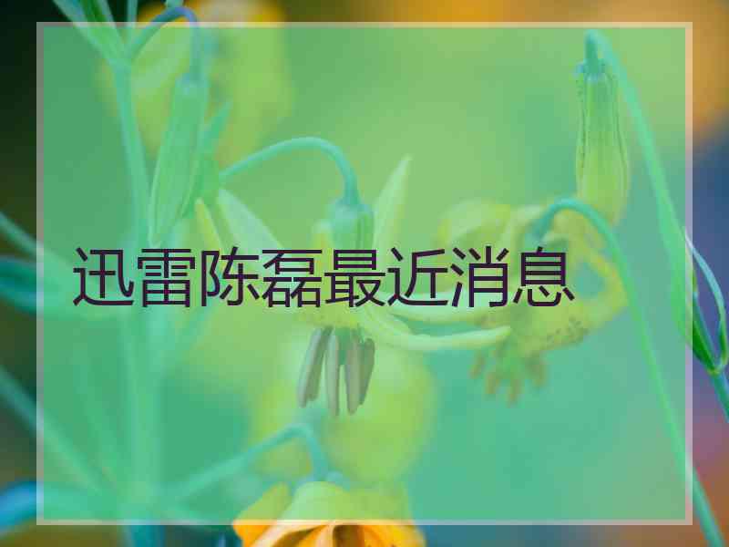 迅雷陈磊最近消息