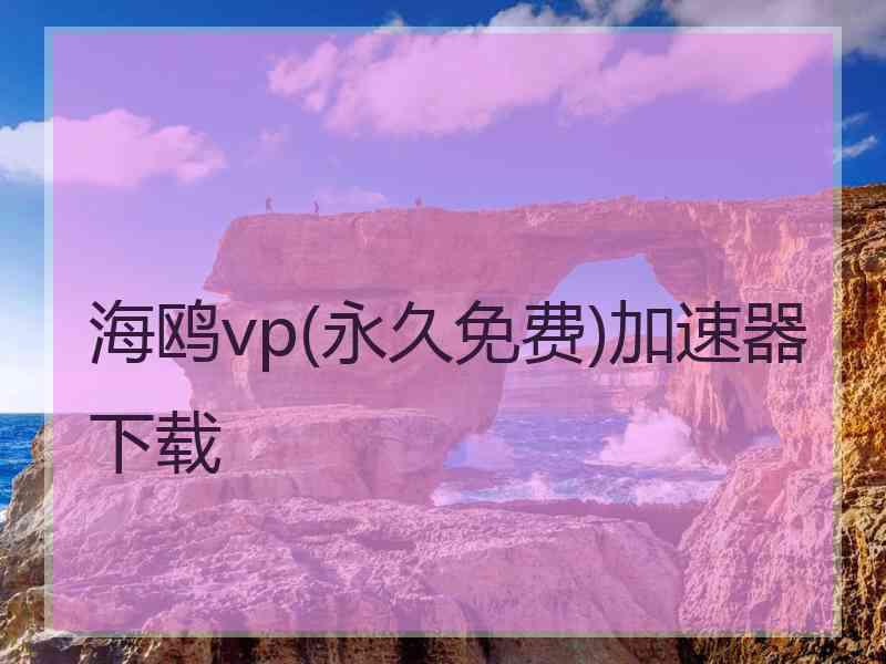 海鸥vp(永久免费)加速器下载