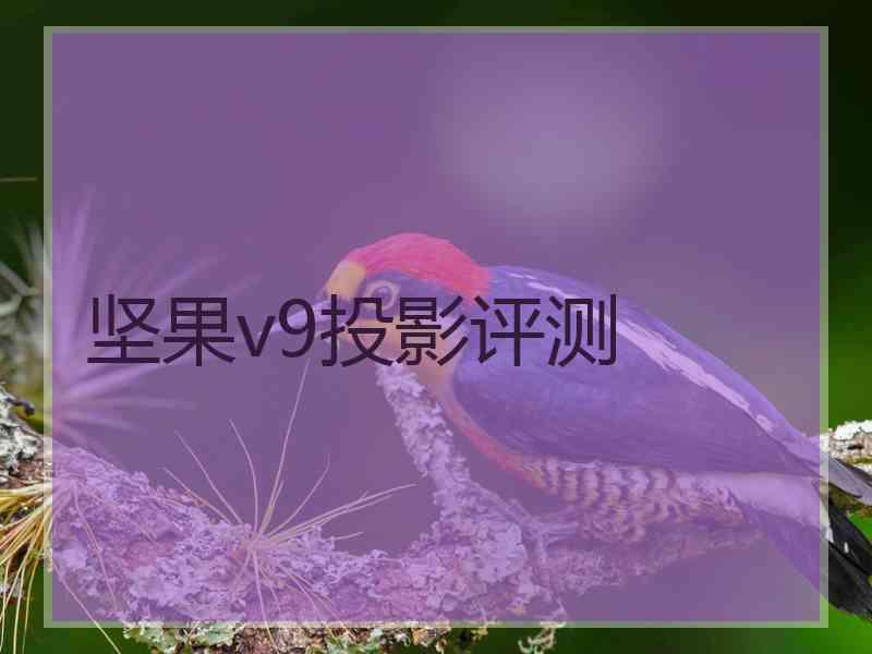 坚果v9投影评测