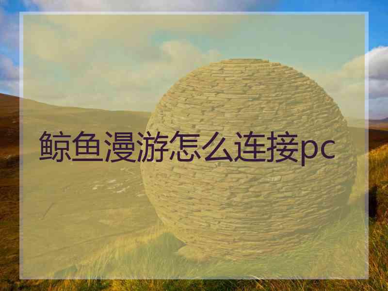 鲸鱼漫游怎么连接pc