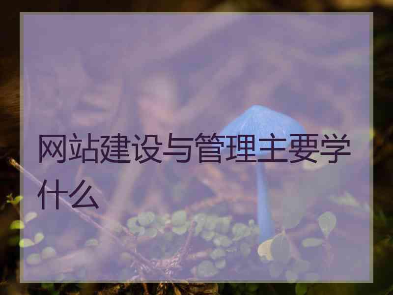 网站建设与管理主要学什么