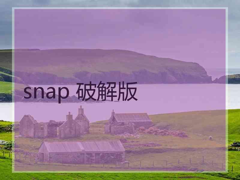 snap 破解版