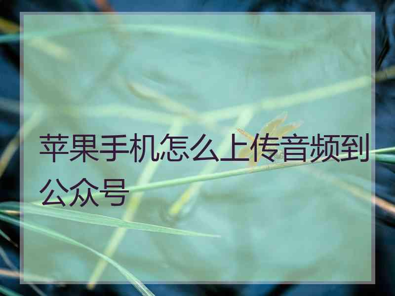 苹果手机怎么上传音频到公众号