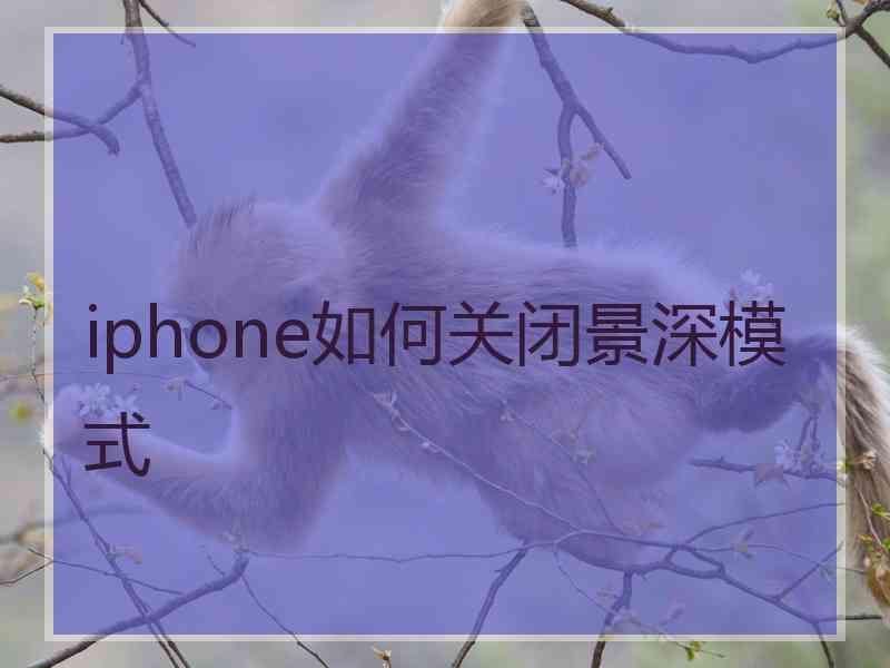 iphone如何关闭景深模式