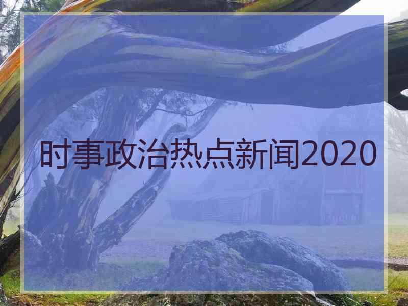 时事政治热点新闻2020