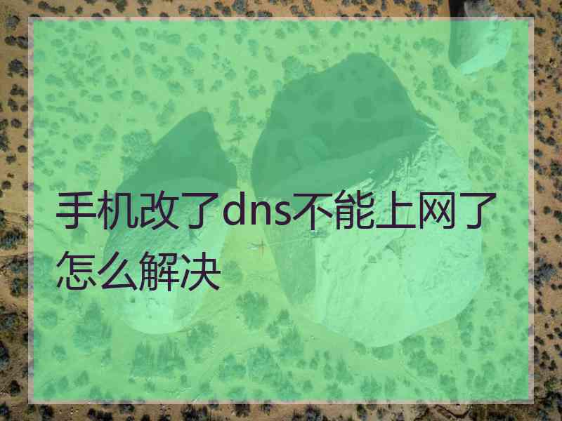 手机改了dns不能上网了怎么解决