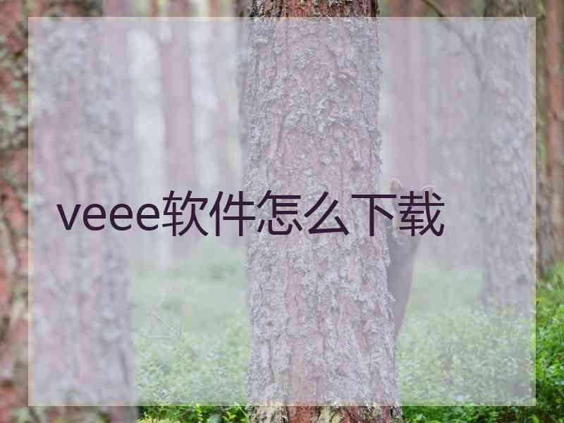 veee软件怎么下载