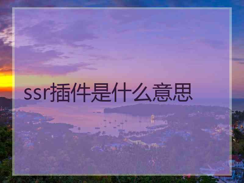 ssr插件是什么意思