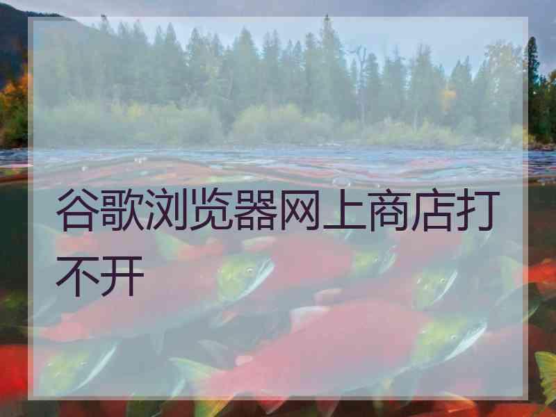 谷歌浏览器网上商店打不开