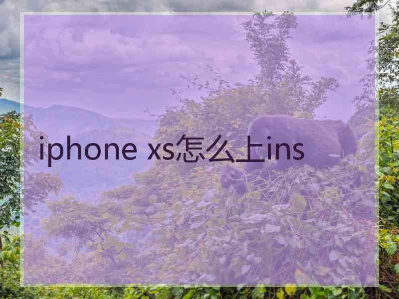 iphone xs怎么上ins