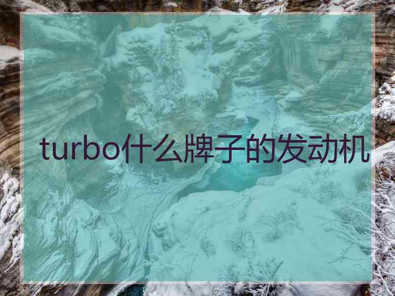 turbo什么牌子的发动机