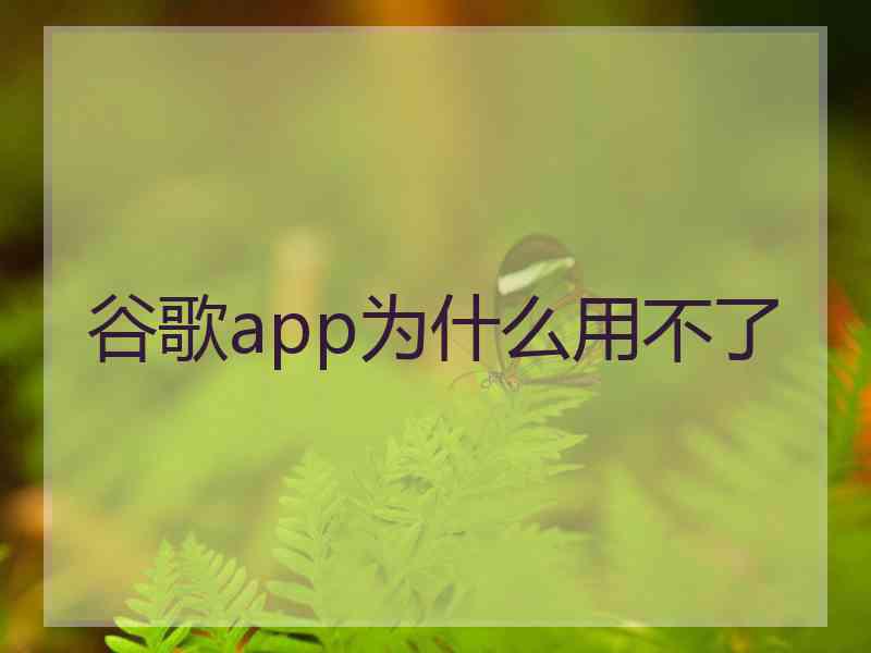 谷歌app为什么用不了