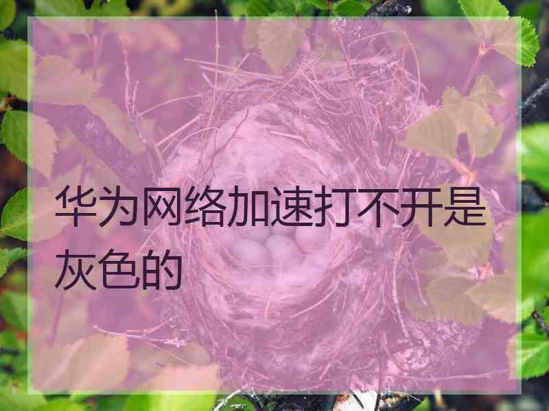 华为网络加速打不开是灰色的