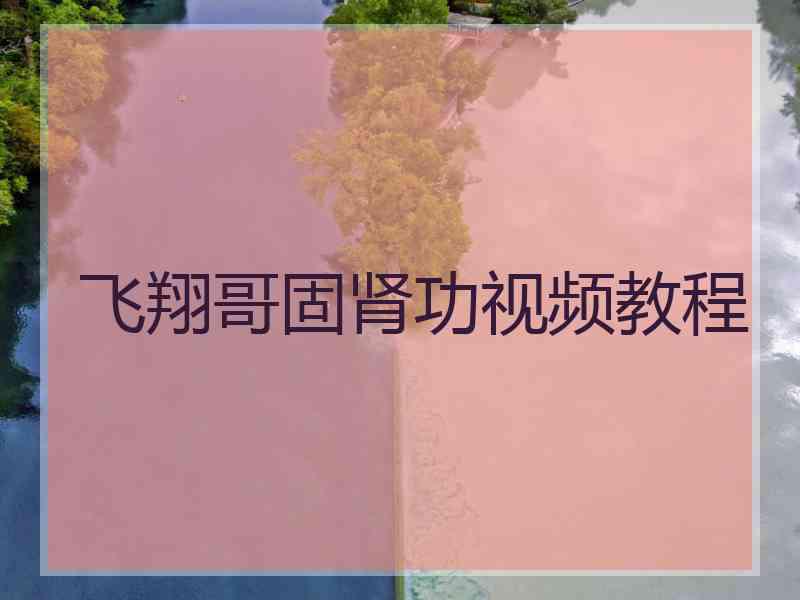 飞翔哥固肾功视频教程