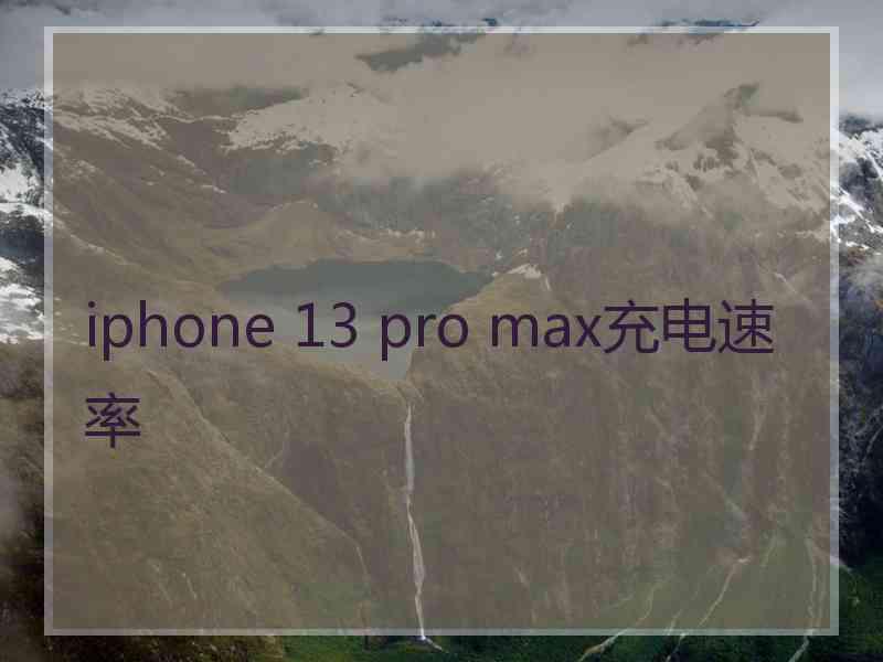 iphone 13 pro max充电速率