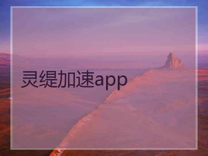 灵缇加速app