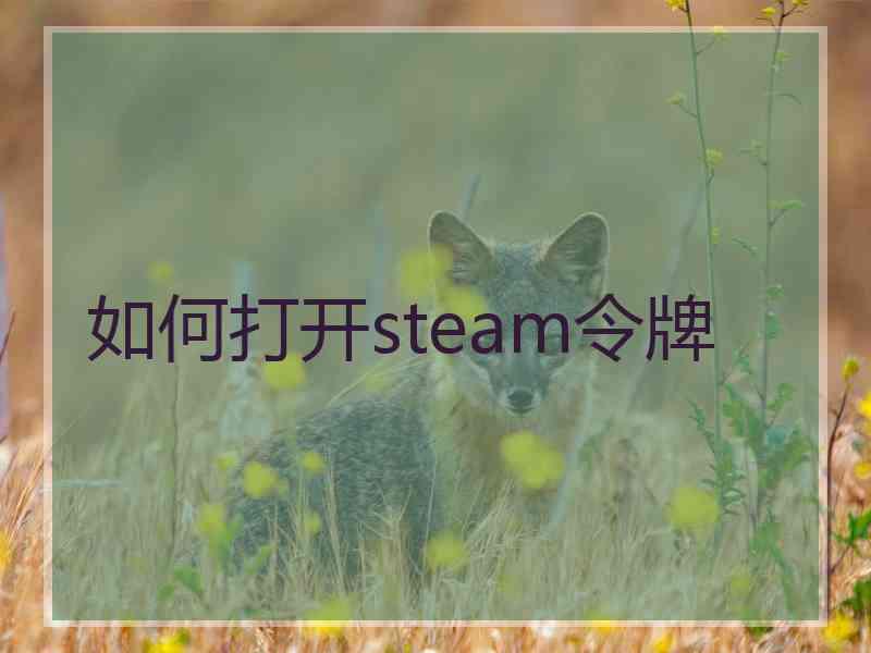 如何打开steam令牌