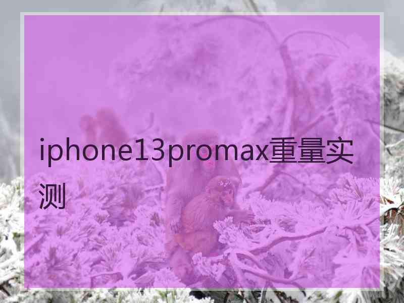 iphone13promax重量实测