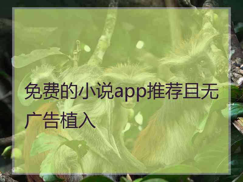 免费的小说app推荐且无广告植入