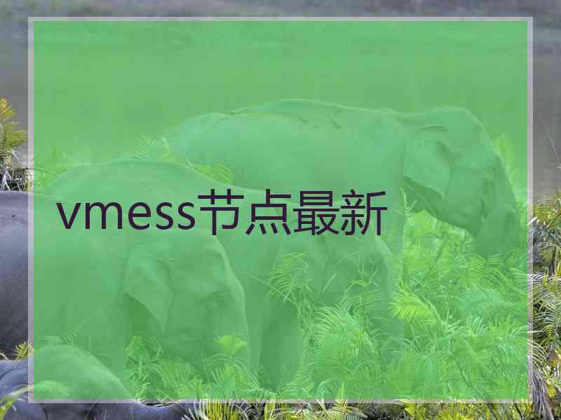 vmess节点最新