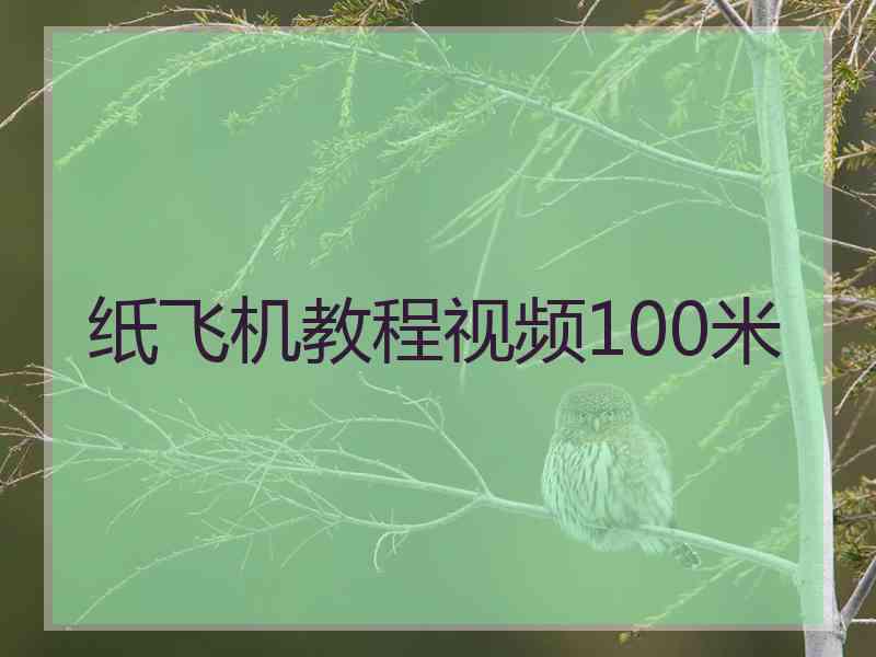 纸飞机教程视频100米