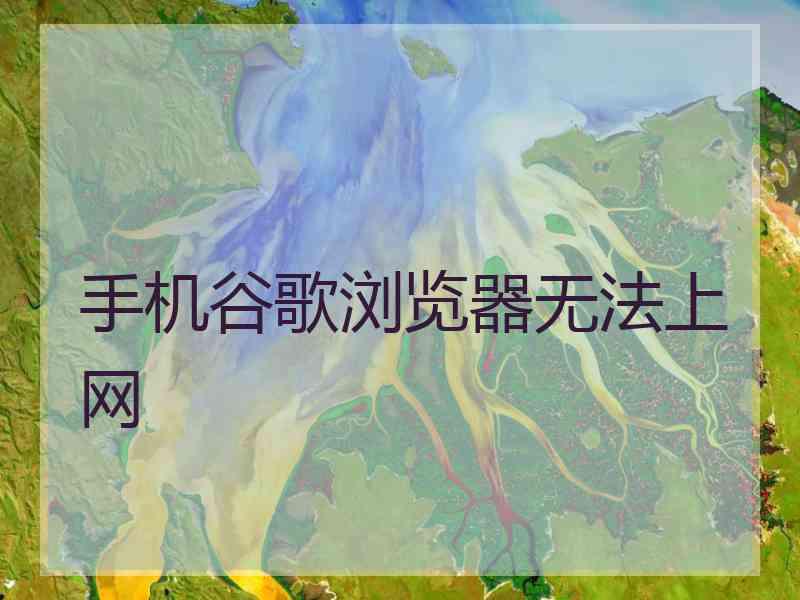 手机谷歌浏览器无法上网