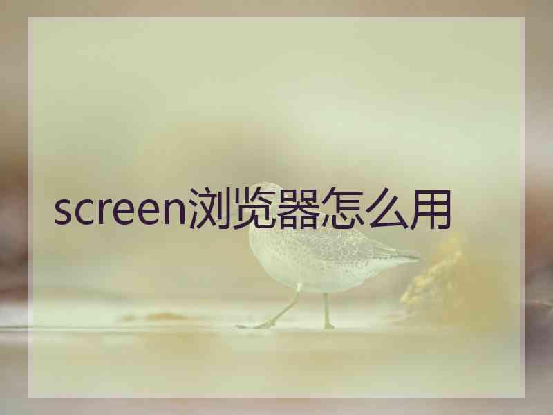 screen浏览器怎么用