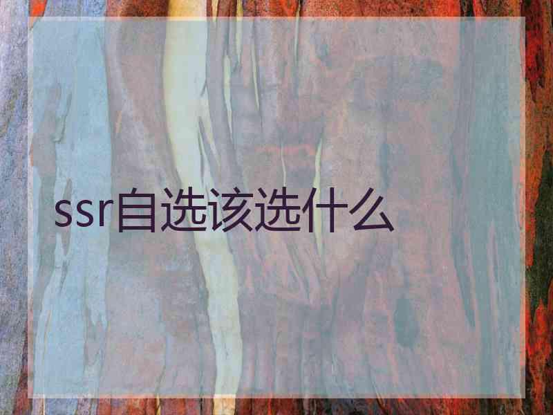 ssr自选该选什么