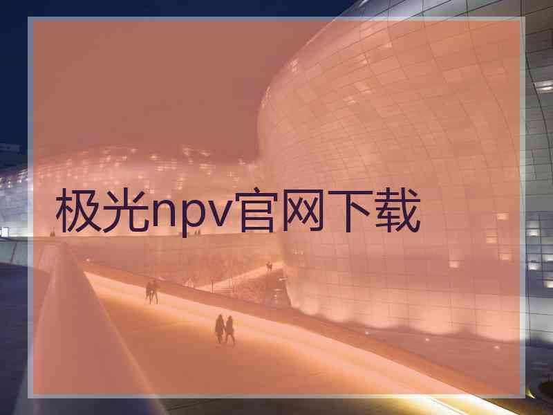 极光npv官网下载