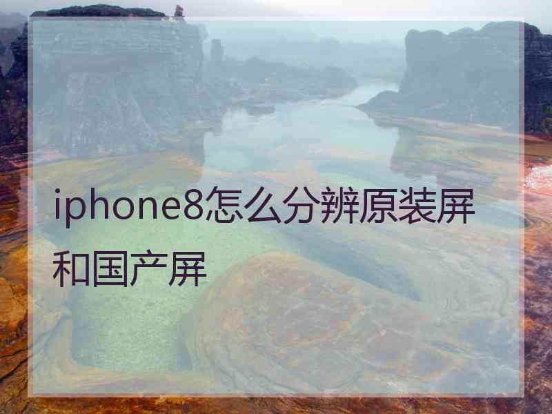 iphone8怎么分辨原装屏和国产屏