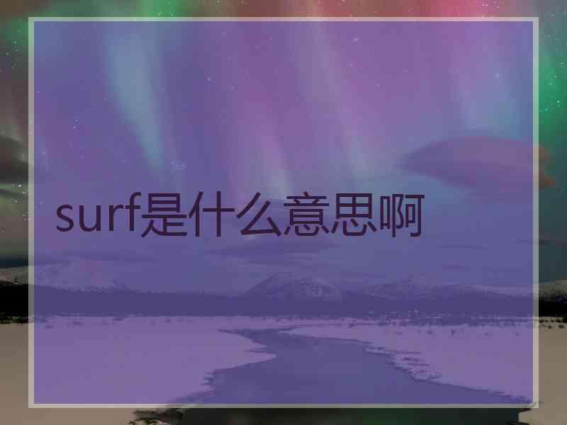 surf是什么意思啊