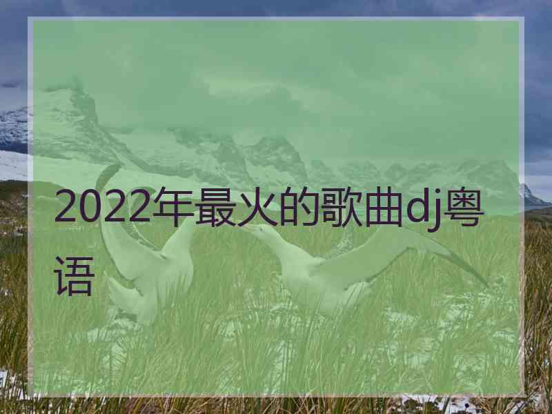 2022年最火的歌曲dj粤语