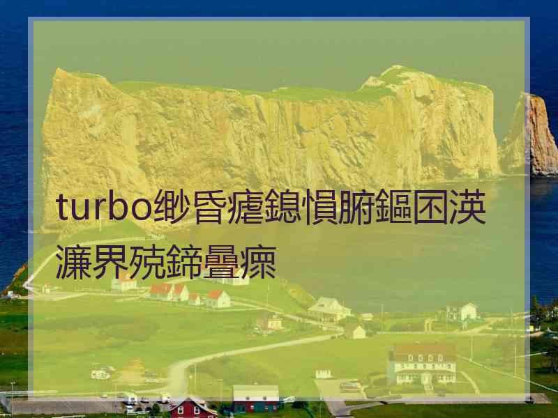 turbo缈昏瘧鎴愪腑鏂囨渶濂界殑鍗曡瘝