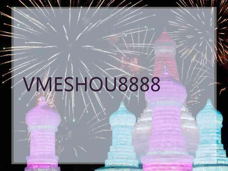 VMESHOU8888