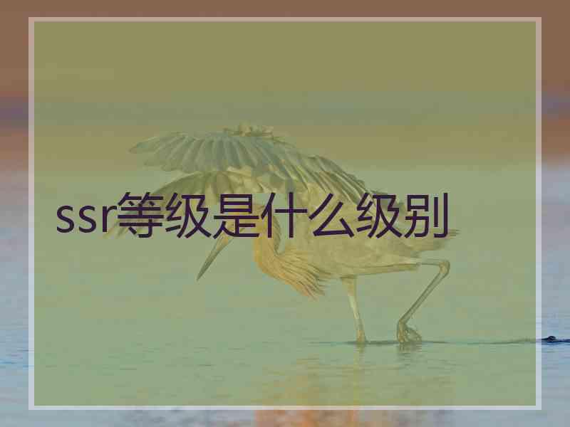 ssr等级是什么级别