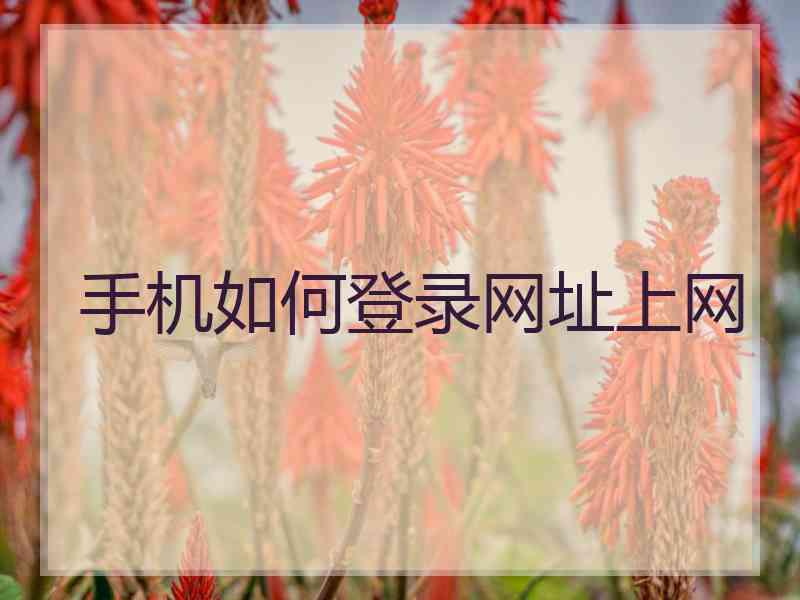 手机如何登录网址上网