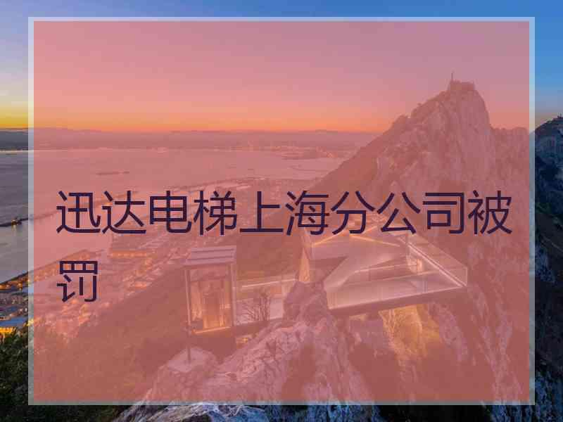 迅达电梯上海分公司被罚