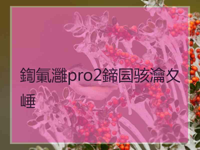 鍧氭灉pro2鍗囩骇瀹夊崜