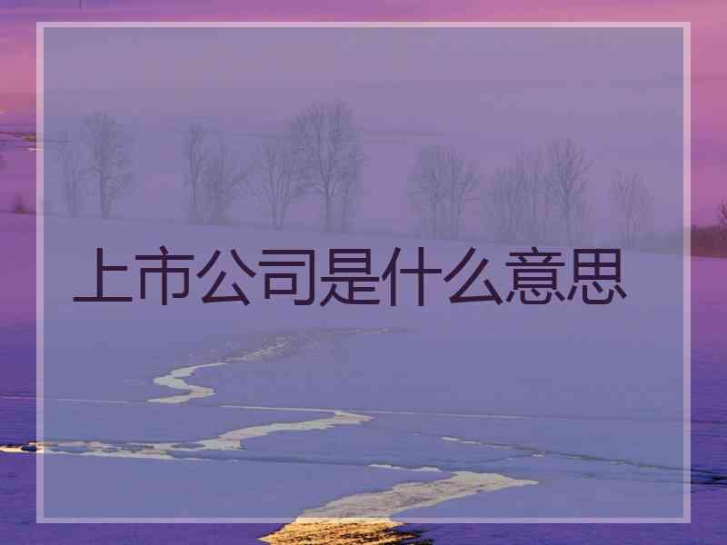 上市公司是什么意思