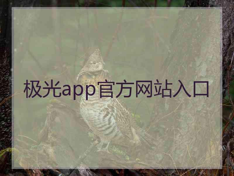 极光app官方网站入口