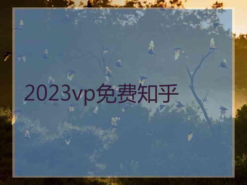 2023vp免费知乎